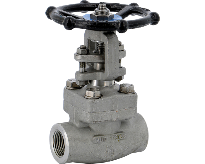Stainless steel F316 gate valve 153 TRIM 10 800 lbs NPT 3/8''